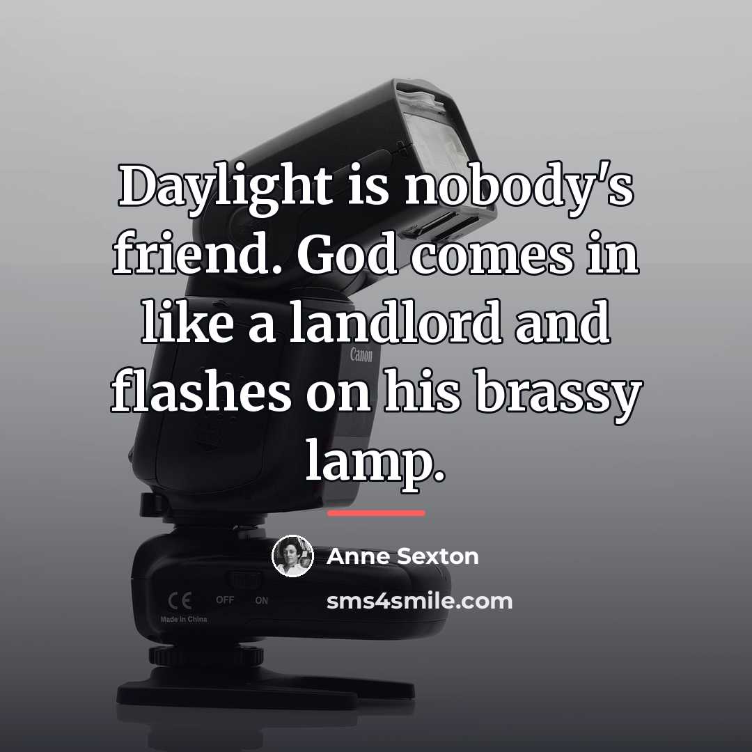 “Daylight is nobody's friend. God comes in like a landlord…” quote by Anne Sexton