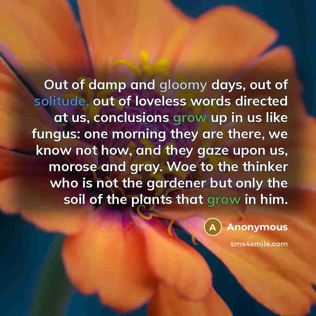 “Out of damp and gloomy days, out of solitude, out…” quote by Anonymous