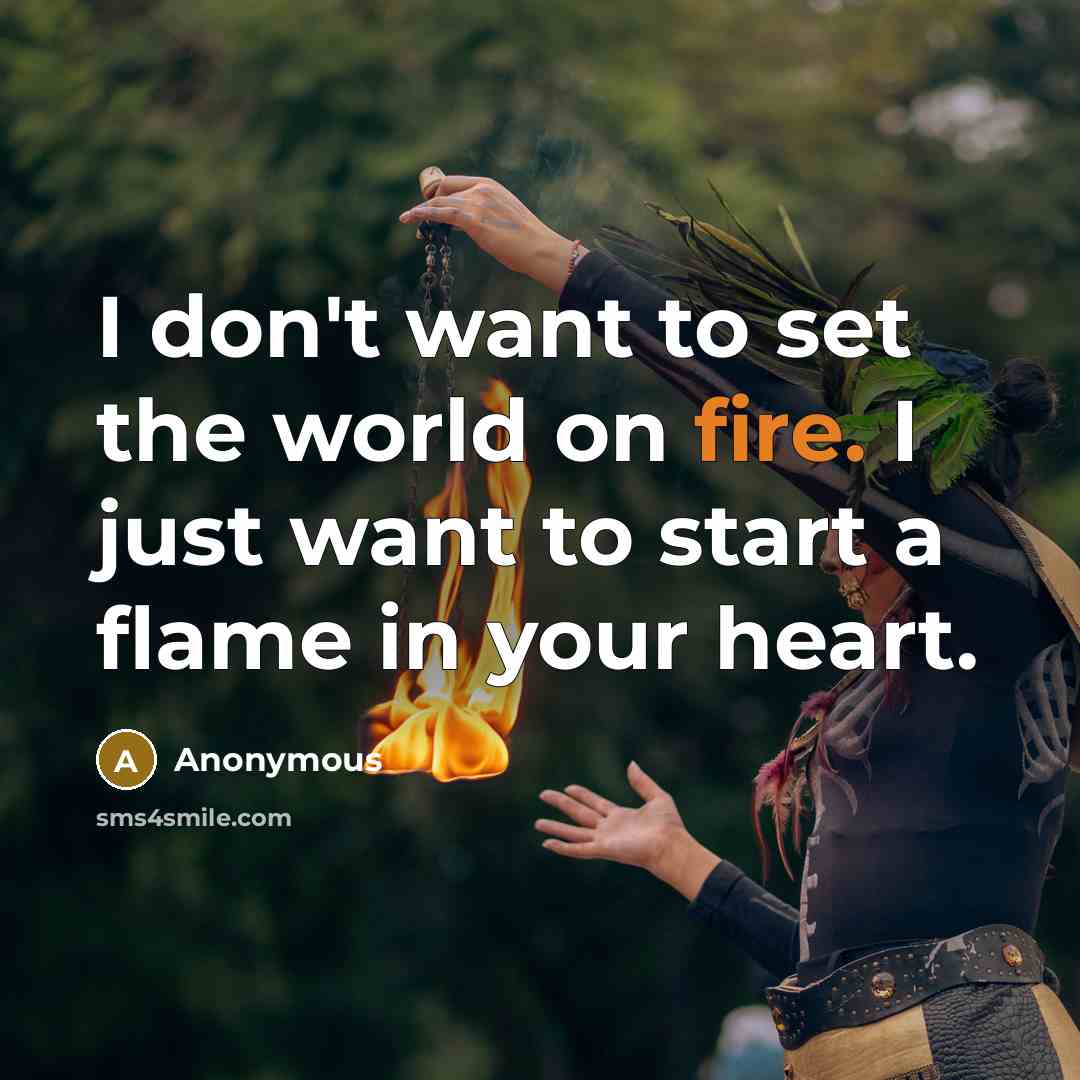 “I don't want to set the world on fire. I…” quote by Anonymous