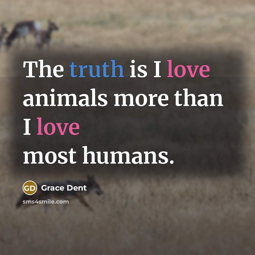 “The truth is I love animals more than I love most humans.” quote by Grace Dent