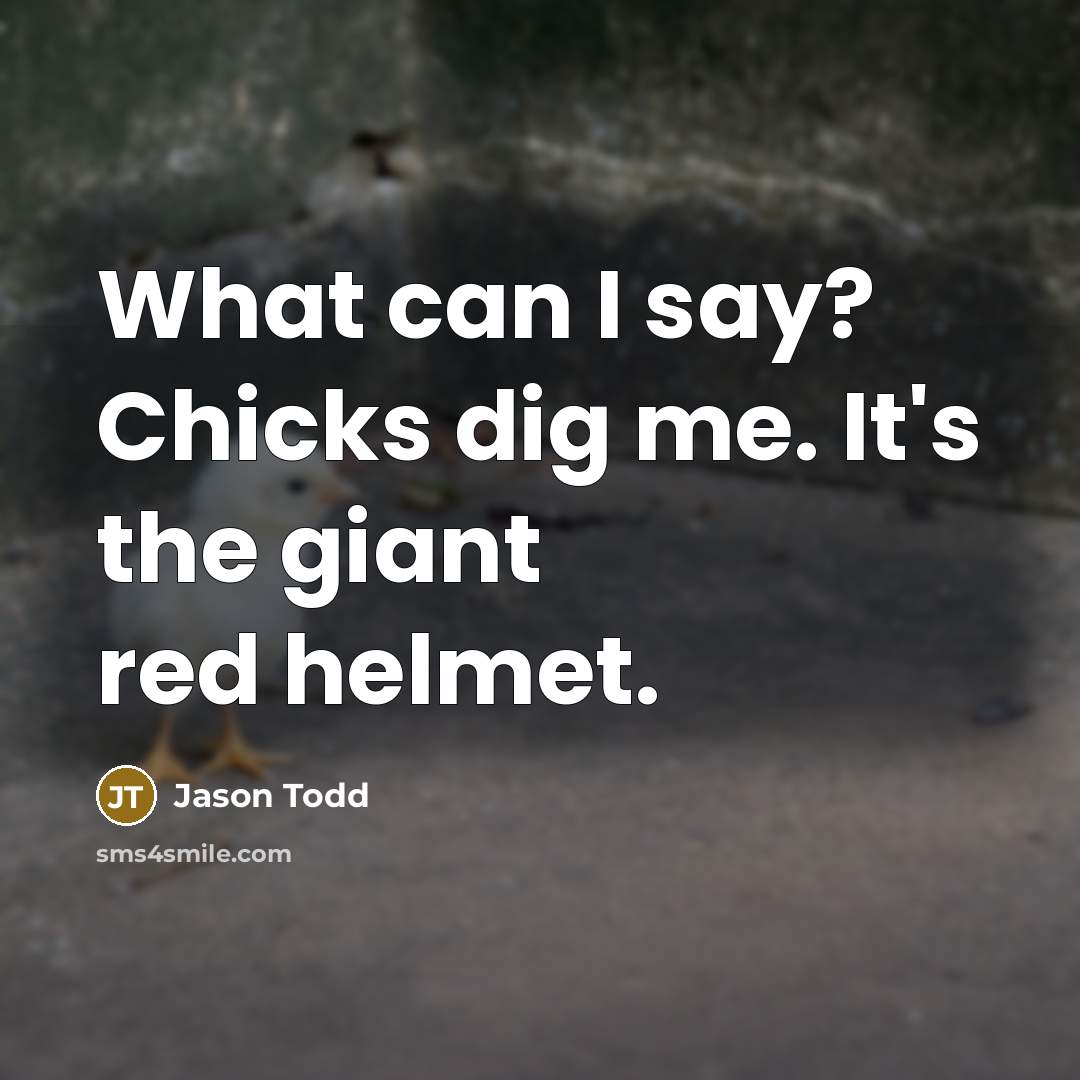 “What can I say? Chicks dig me. It's the giant…” quote by Jason Todd