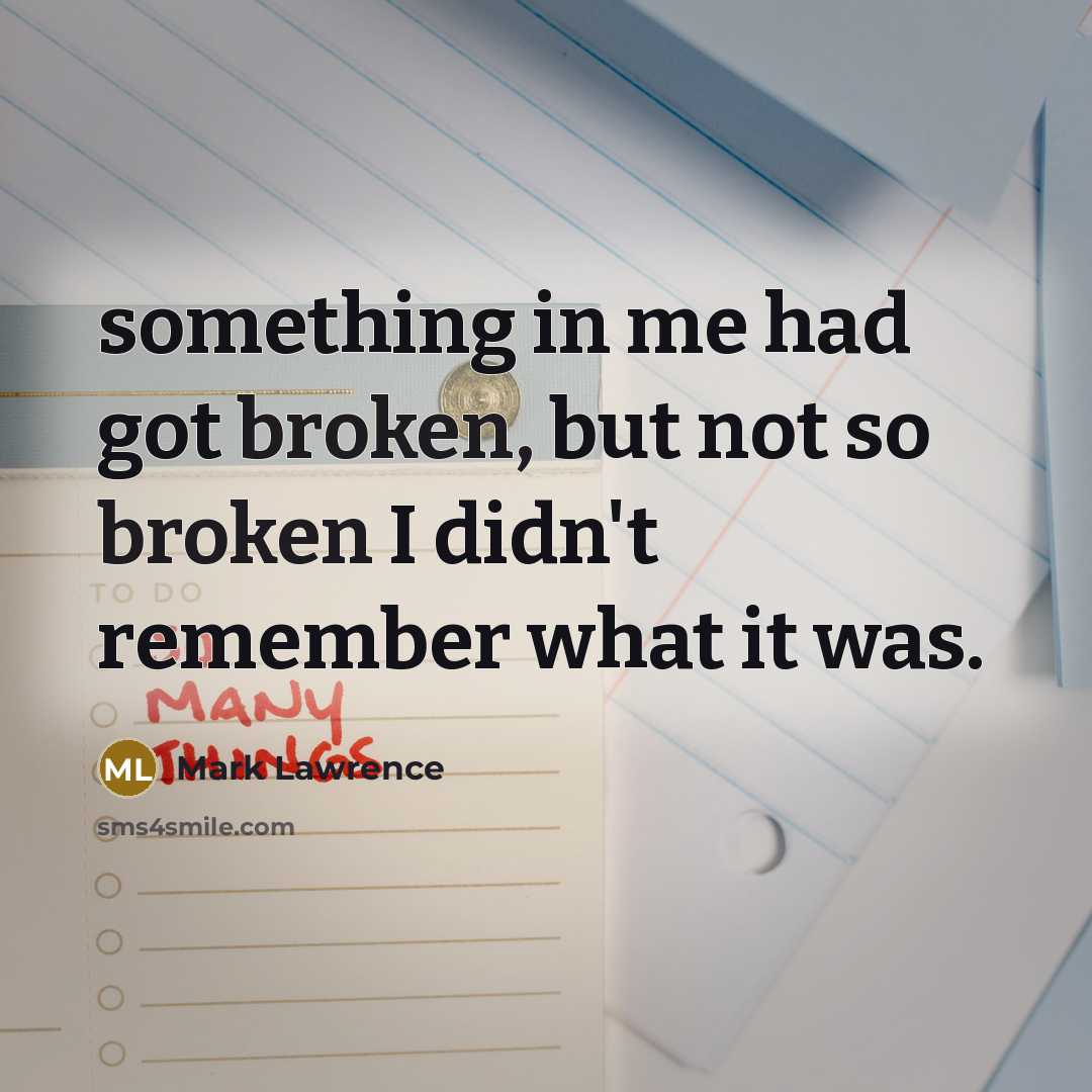 “something in me had got broken, but not so broken…” quote by Mark Lawrence