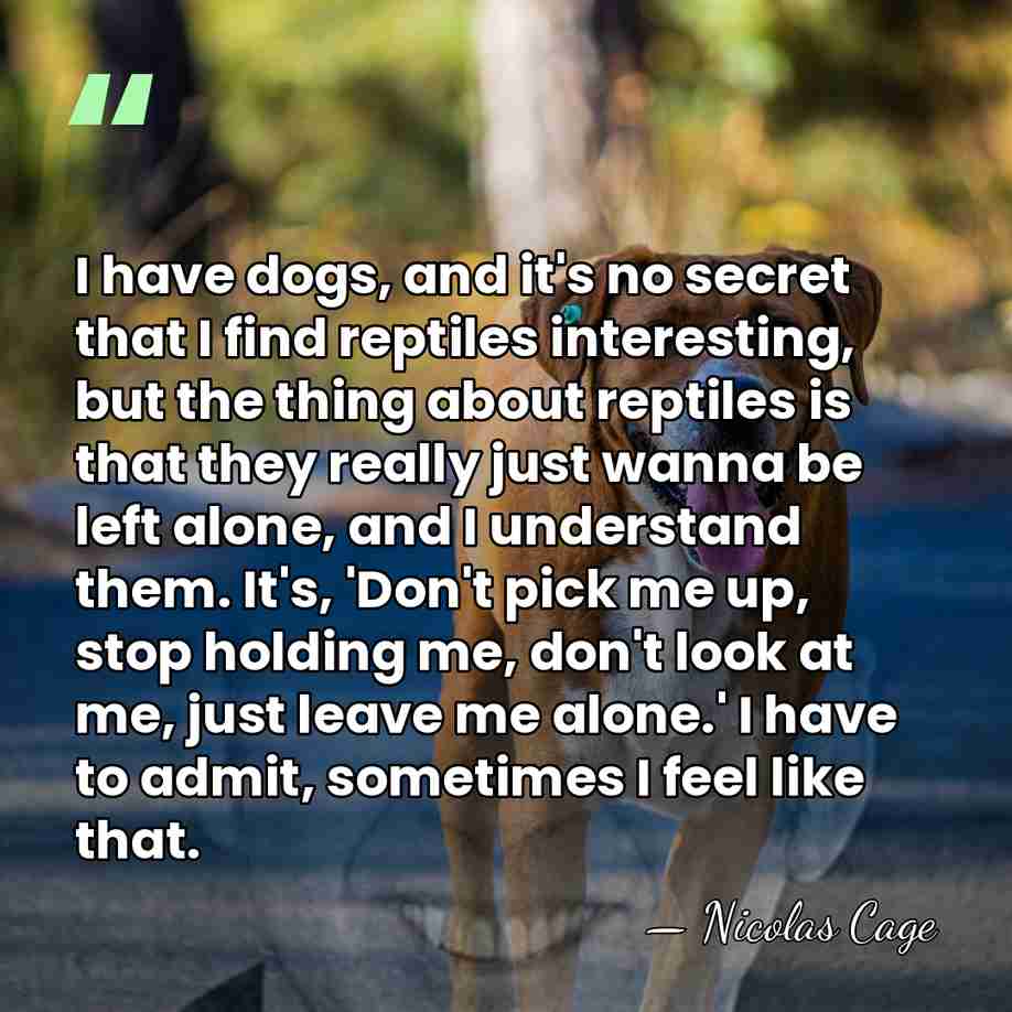 I have dogs, and it's no secret that I find reptiles interesting,&hellip; - Nicolas Cage