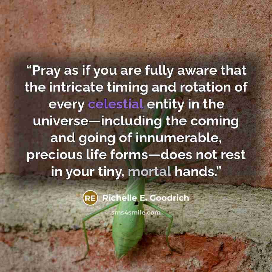 “Pray as if you are fully aware that the intricate timing and rotation of every celestial entity in the universe—including the coming and going of innumerable, precious life forms—does not rest in your tiny, mortal hands.” quote by Richelle E. Goodrich