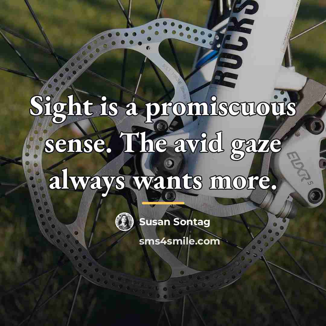 “Sight is a promiscuous sense. The avid gaze always wants…” quote by Susan Sontag