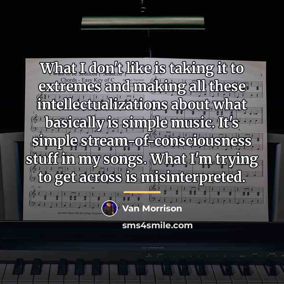 “What I don't like is taking it to extremes and…” quote by Van Morrison