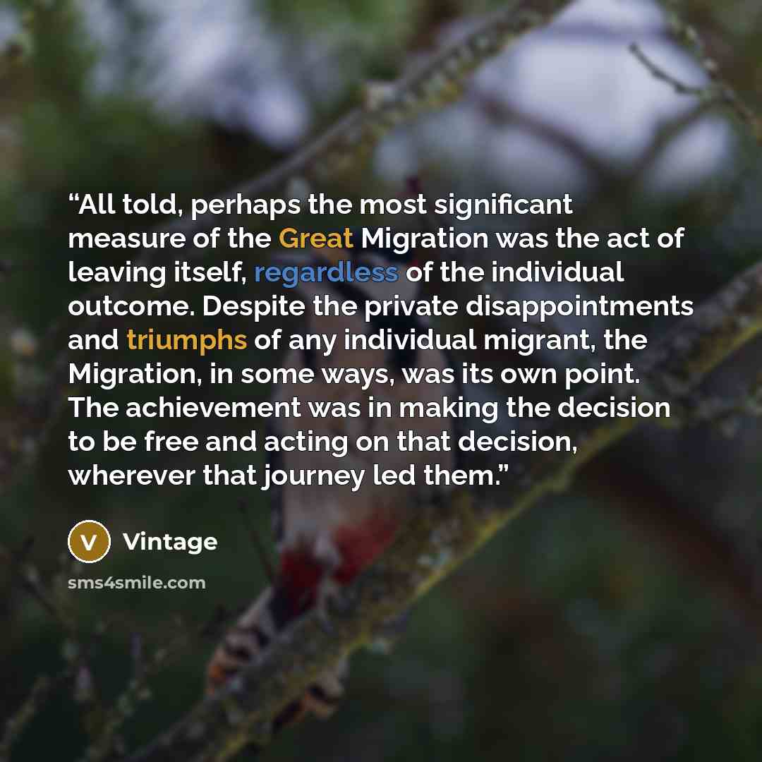 “All told, perhaps the most significant measure of the Great Migration was the act of leaving itself, regardless of the individual outcome. Despite the private disappointments and triumphs of any individual migrant, the Migration, in some ways, was its own point. The achievement was in making the…” quote by Vintage