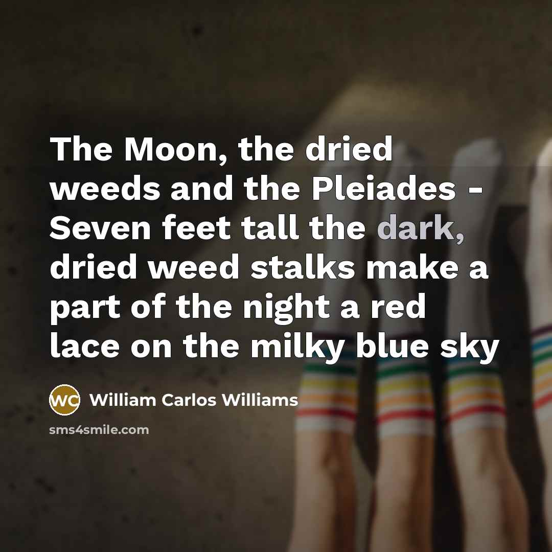 “The Moon, the dried weeds and the Pleiades - Seven…” quote by William Carlos Williams