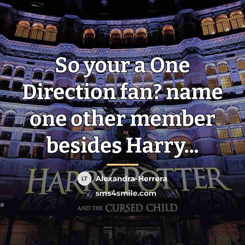 “So your a One Direction fan? name one other member…” quote by Alexandra-Herrera