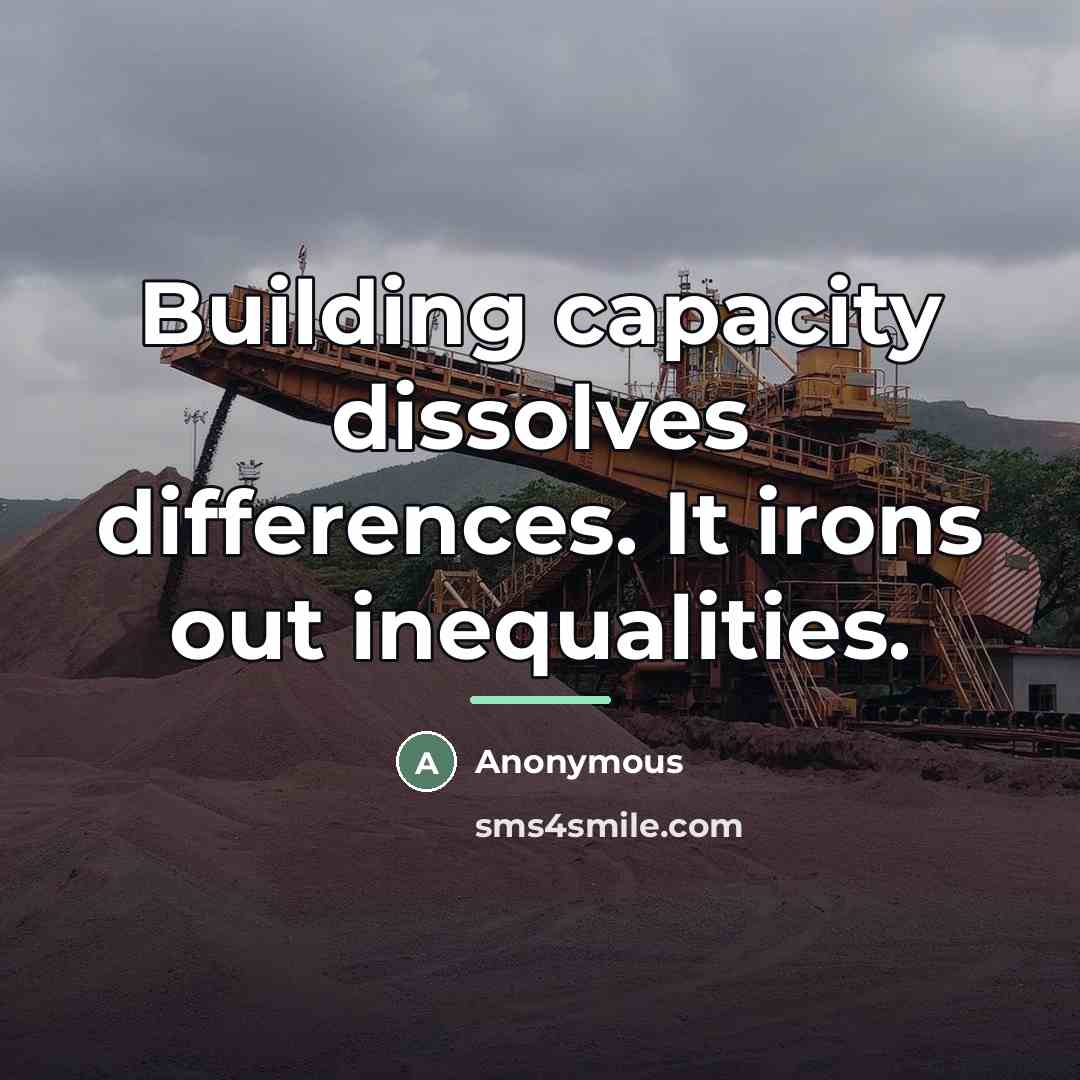 “Building capacity dissolves differences. It irons out inequalities.…” quote by Anonymous
