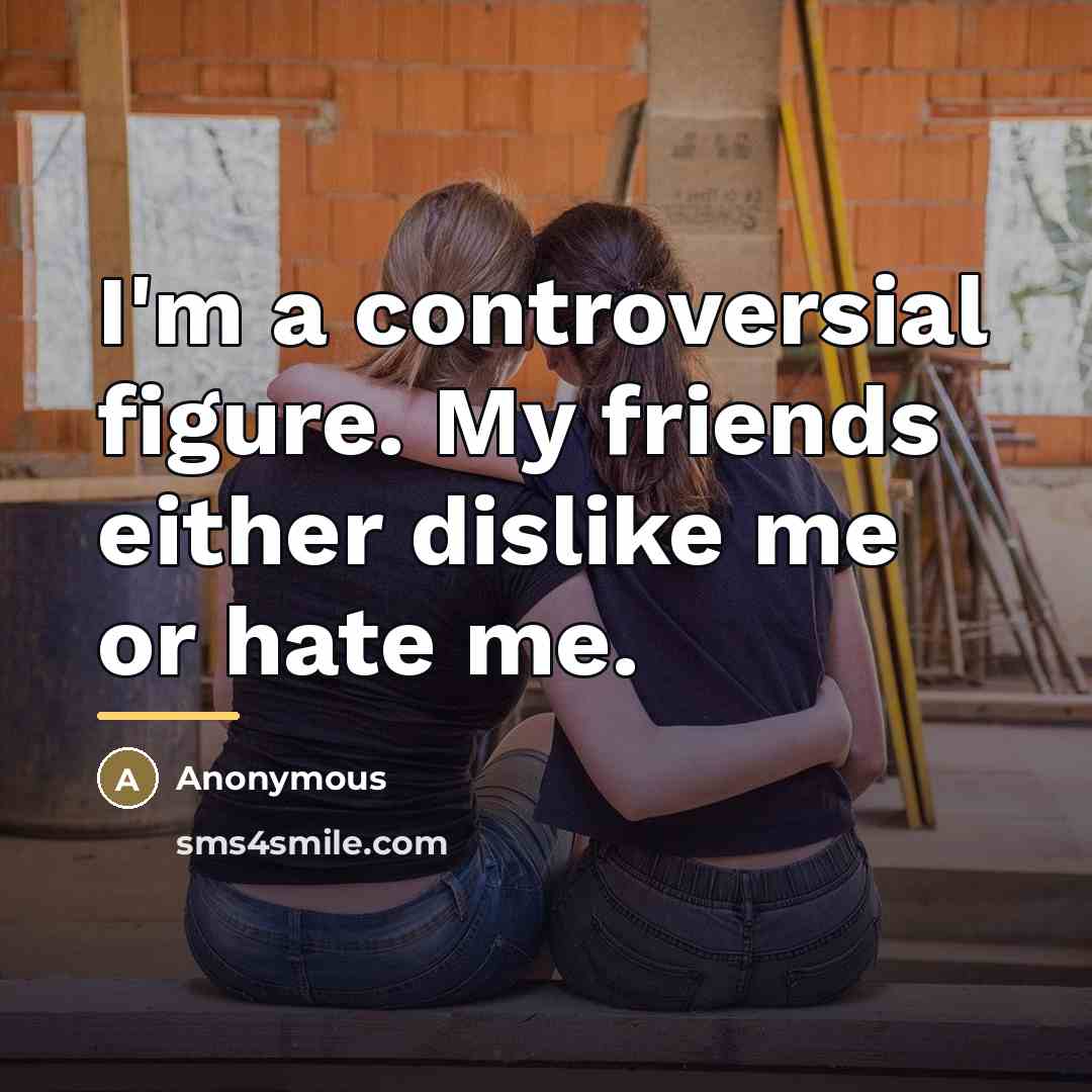 “I'm a controversial figure. My friends either dislike me or…” quote by Anonymous
