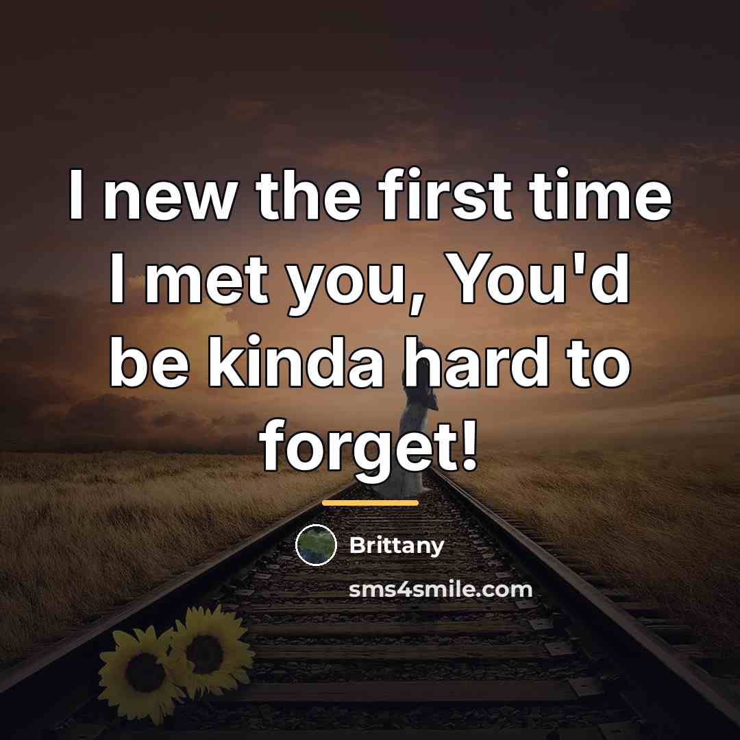 “I new the first time I met you, You'd be…” quote by Brittany