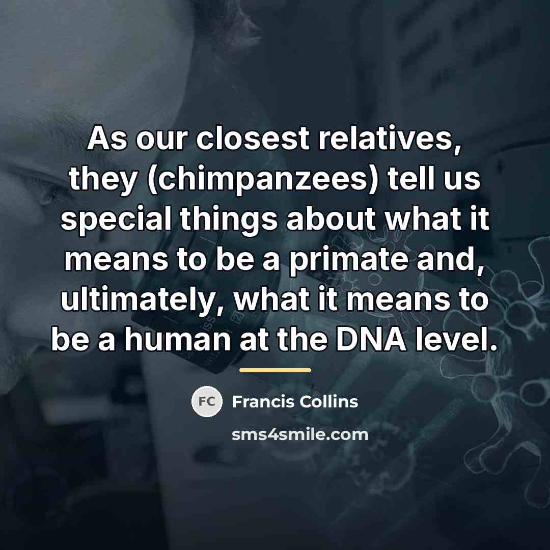 “As our closest relatives, they (chimpanzees) tell us special things…” quote by Francis Collins