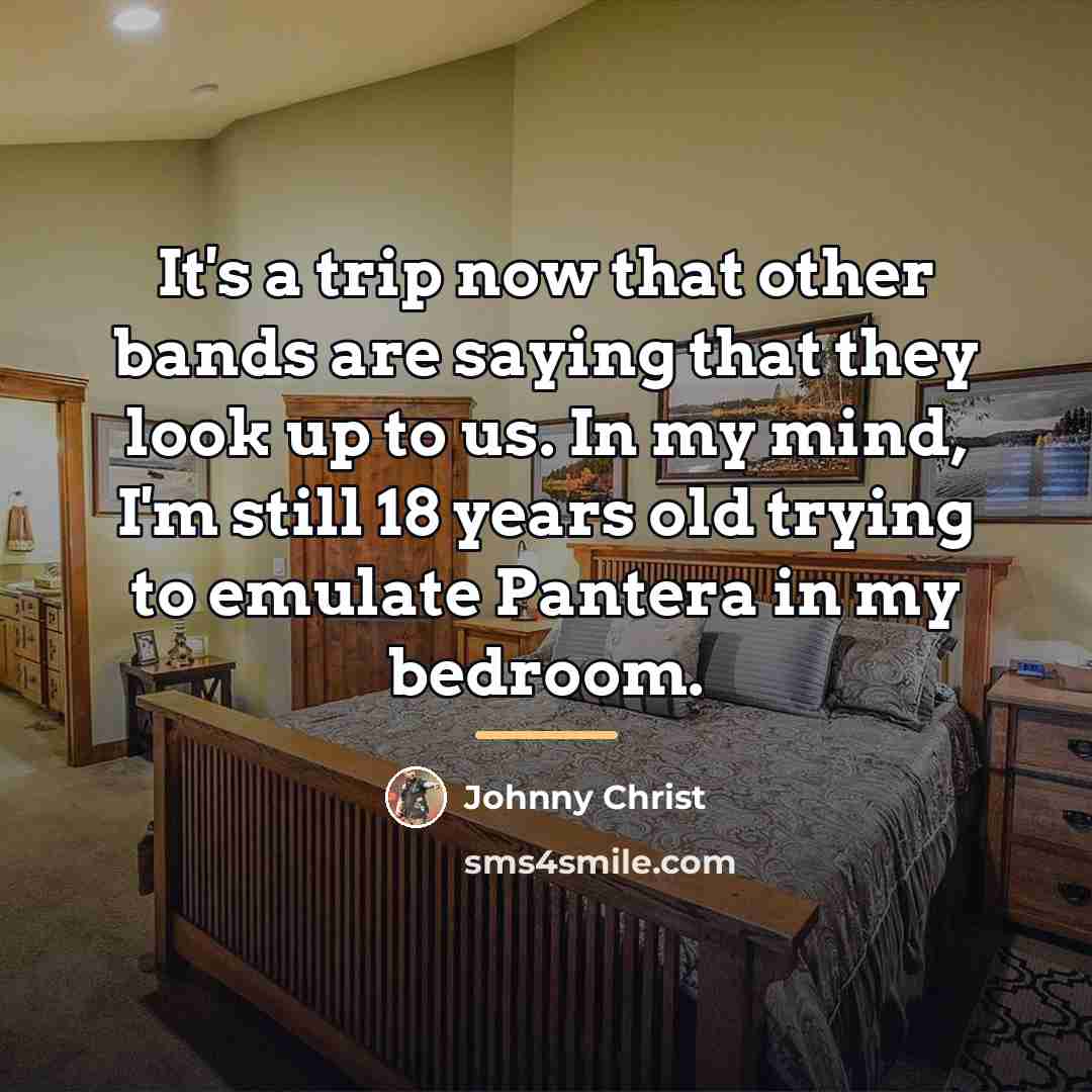 “It's a trip now that other bands are saying that…” quote by Johnny Christ