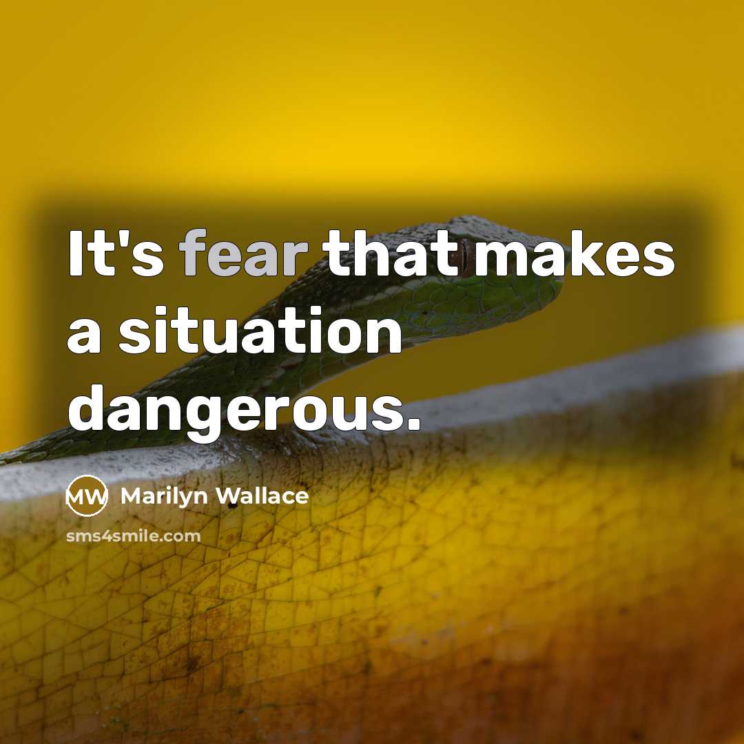 “It's fear that makes a situation dangerous.…” quote by Marilyn Wallace
