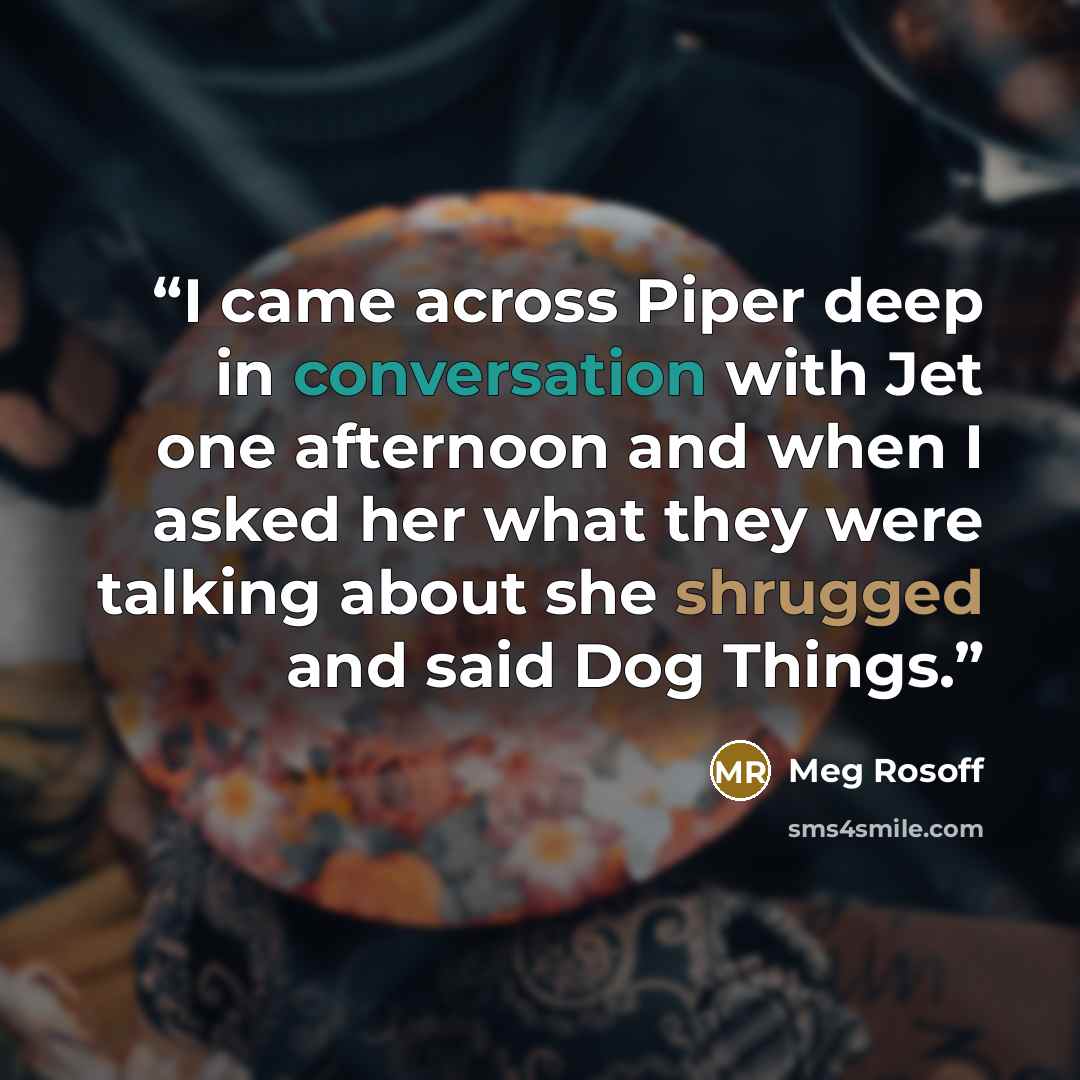 “I came across Piper deep in conversation with Jet one afternoon and when I asked her what they were talking about she shrugged and said Dog Things.” quote by Meg Rosoff