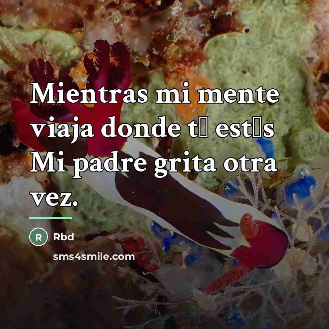 “Mientras mi mente viaja donde t� est�s Mi padre grita…” quote by Rbd
