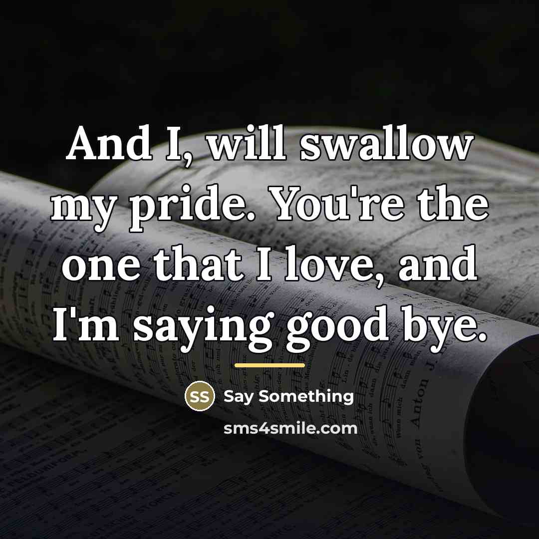 “And I, will swallow my pride. You're the one that…” quote by Say Something