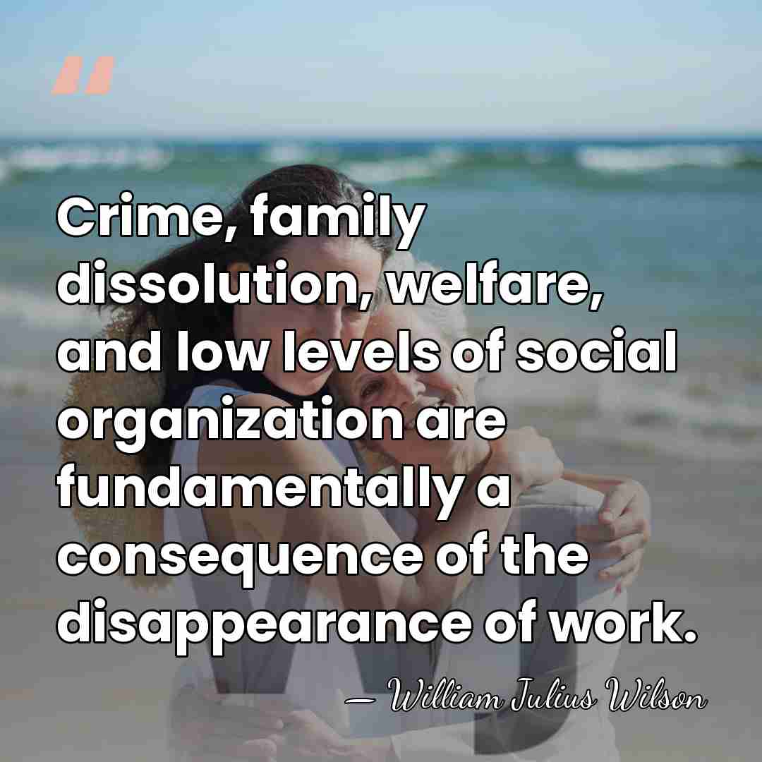 Crime, family dissolution, welfare, and low levels of social organization are fundamentally&hellip; - William Julius Wilson