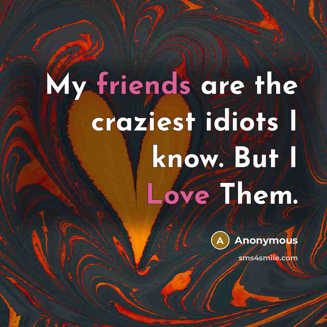 “My friends are the craziest idiots I know. But I…” quote by Anonymous