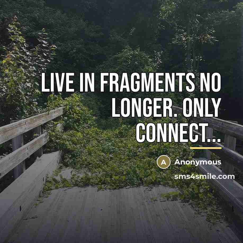 “Live in fragments no longer. Only connect...…” quote by Anonymous