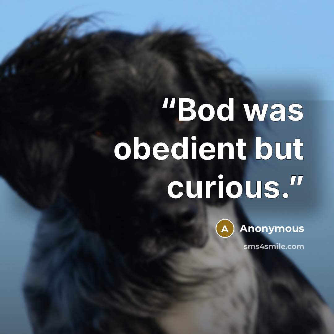 “Bod was obedient but curious.” quote by Anonymous