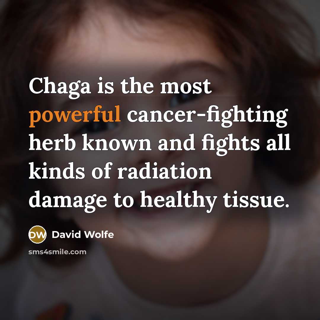 “Chaga is the most powerful cancer-fighting herb known and fights…” quote by David Wolfe
