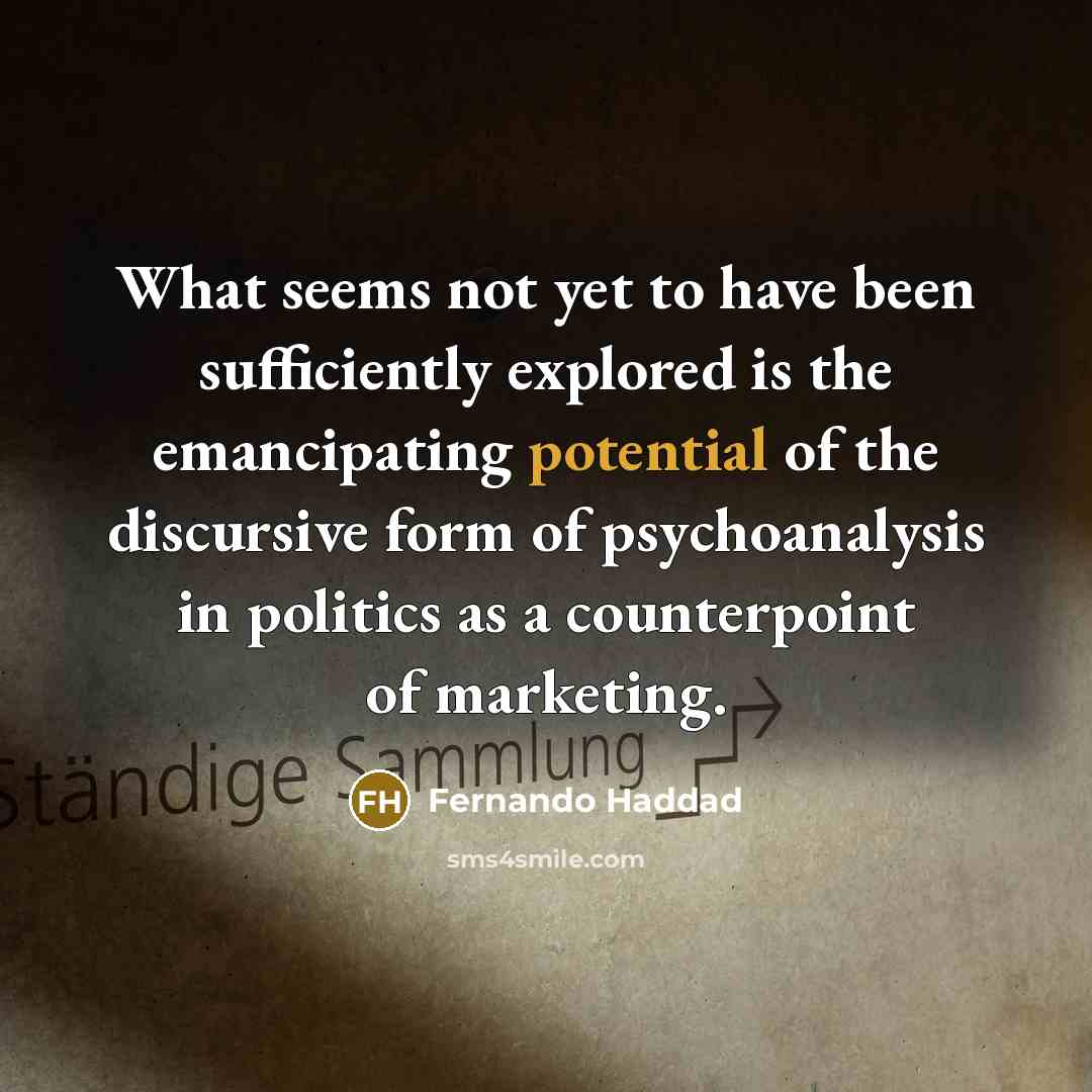 “What seems not yet to have been sufficiently explored is…” quote by Fernando Haddad