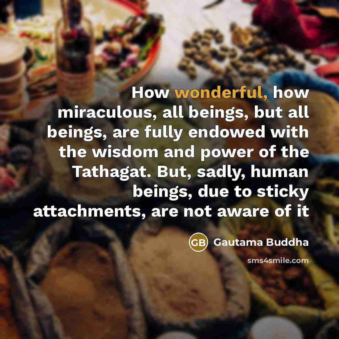 “How wonderful, how miraculous, all beings, but all beings, are…” quote by Gautama Buddha