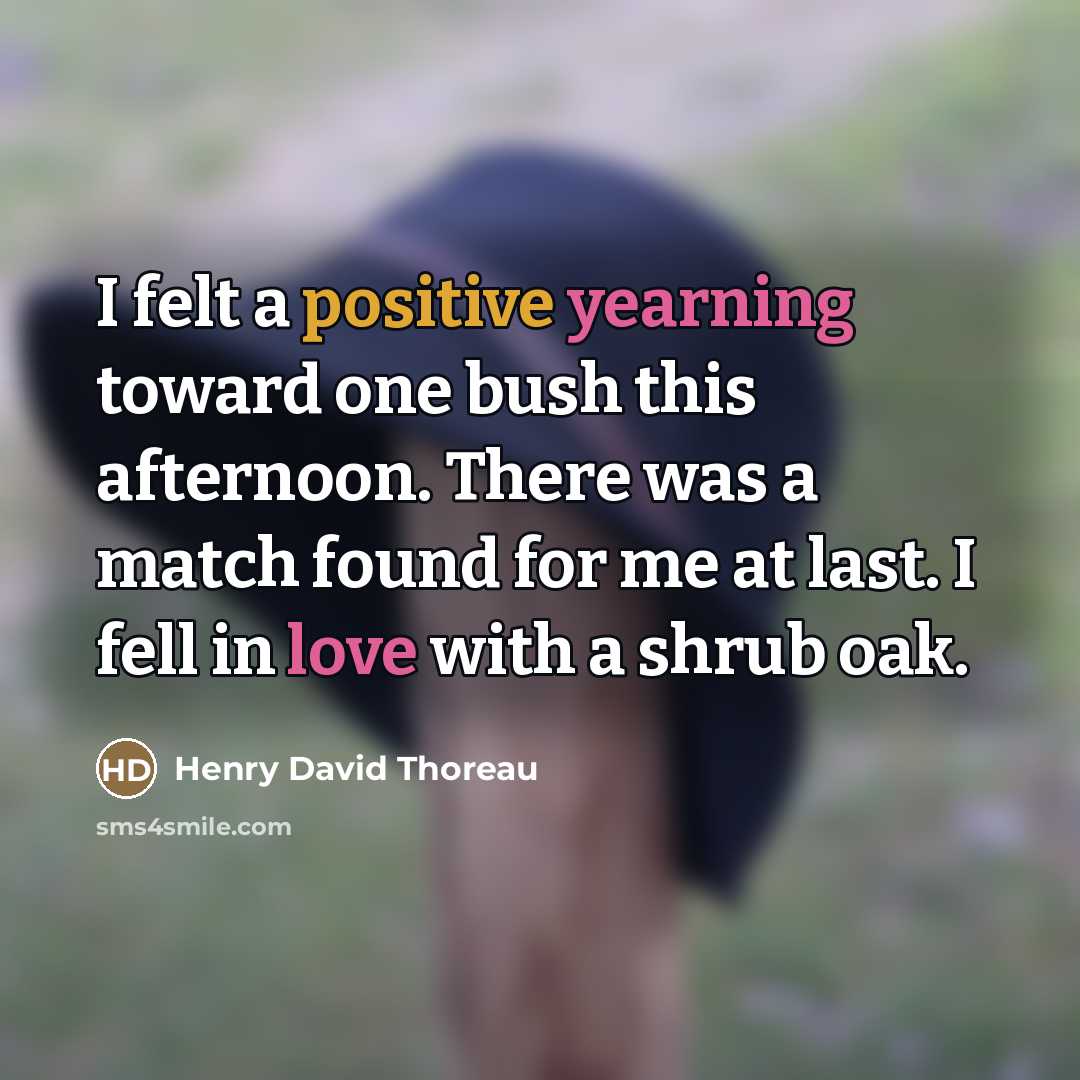 “I felt a positive yearning toward one bush this afternoon.…” quote by Henry David Thoreau