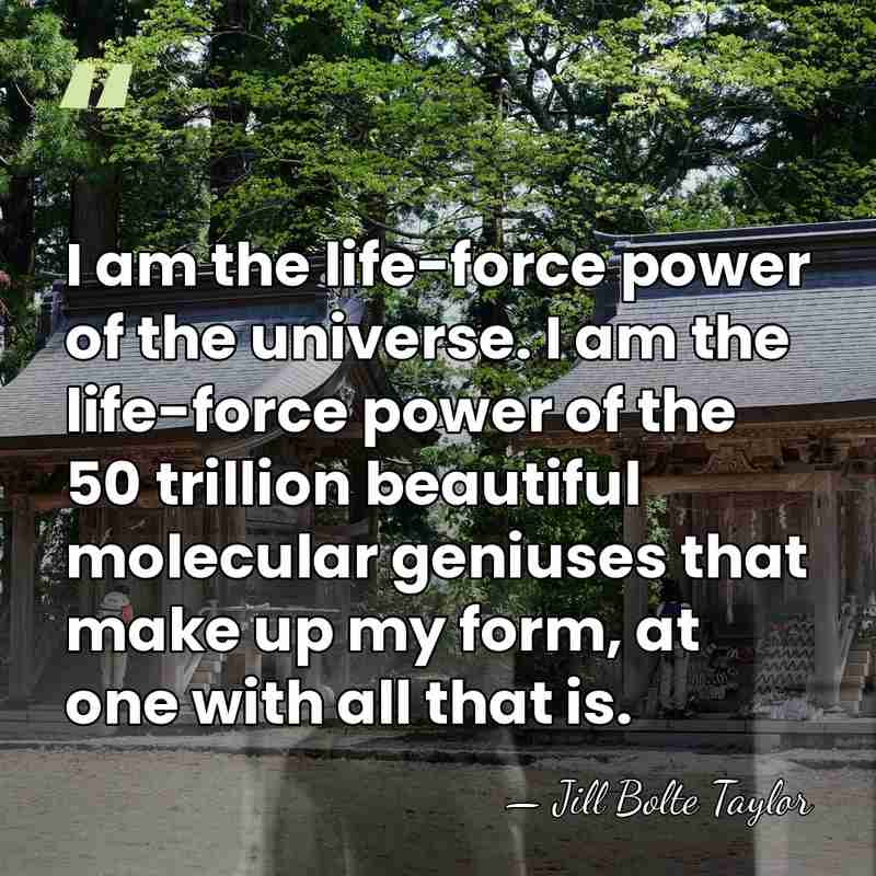 I am the life-force power of the universe. I am the life-force&hellip; - Jill Bolte Taylor