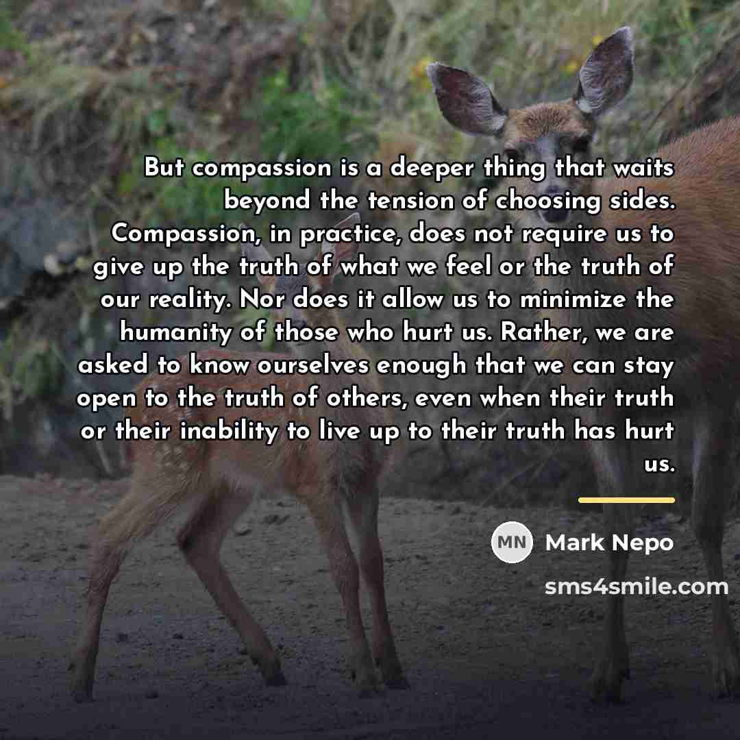 “But compassion is a deeper thing that waits beyond the…” quote by Mark Nepo