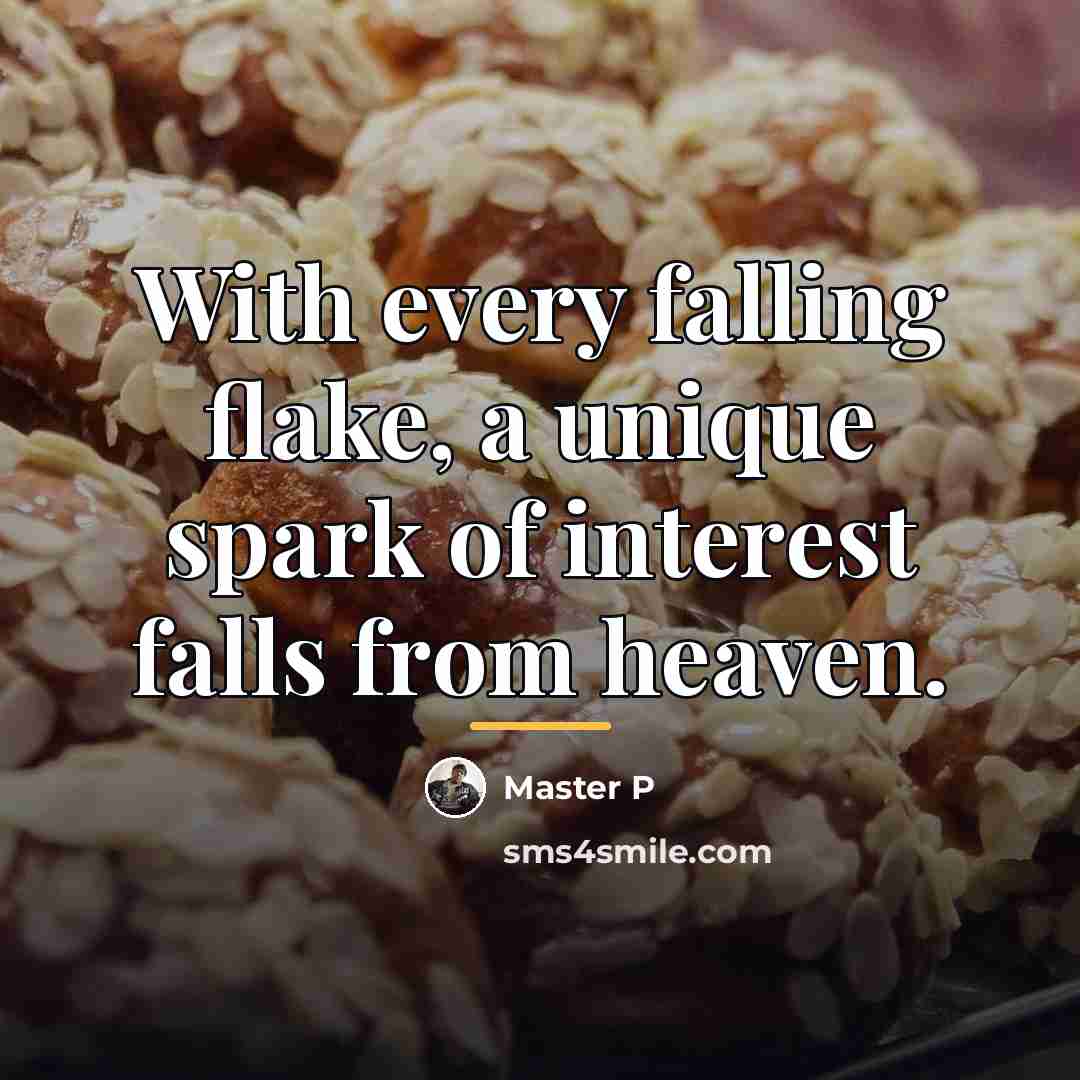 “With every falling flake, a unique spark of interest falls…” quote by Master P