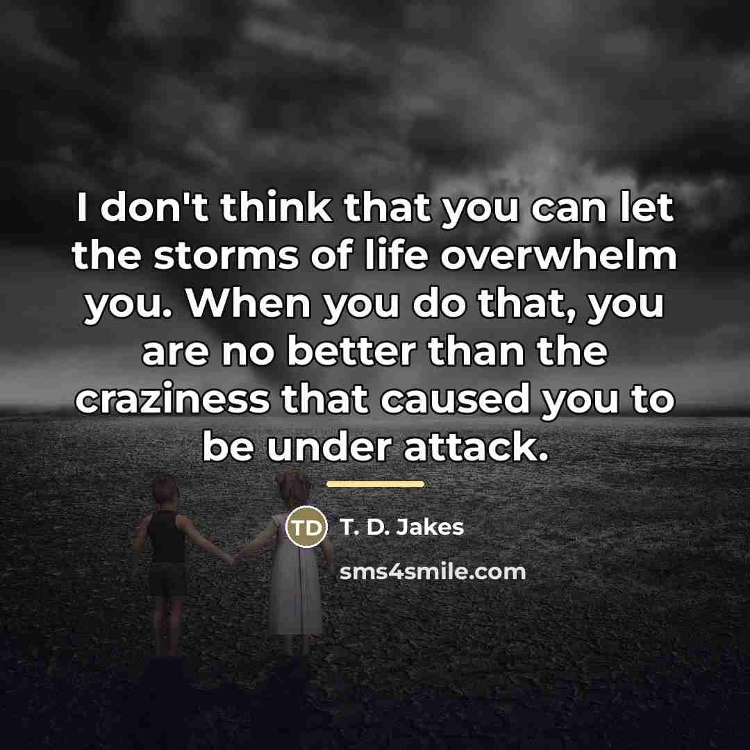 “I don't think that you can let the storms of…” quote by T. D. Jakes