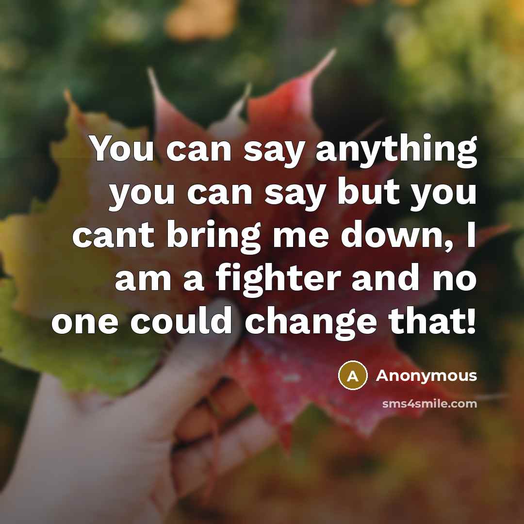 “You can say anything you can say but you cant bring me down, I am a fighter and no one could change that!” quote by Anonymous
