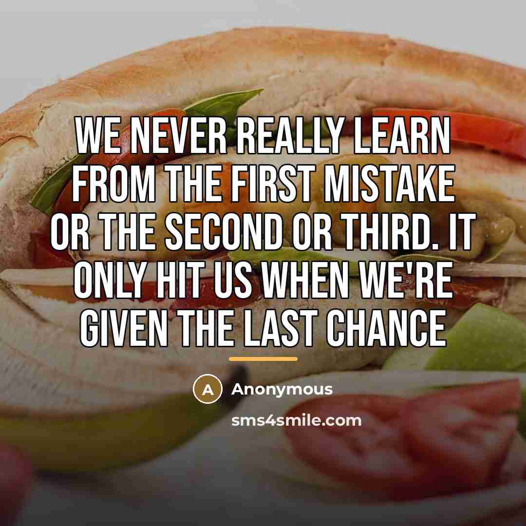 “We never really learn from the first mistake or the…” quote by Anonymous