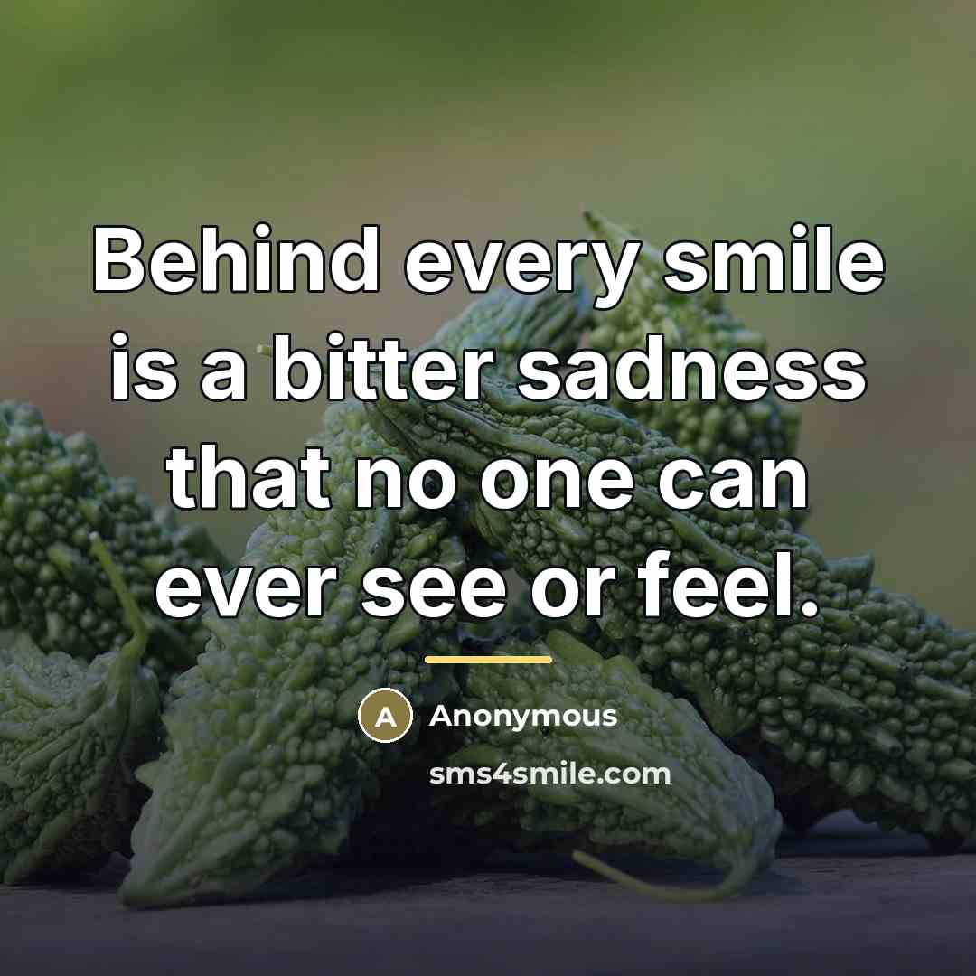 “Behind every smile is a bitter sadness that no one…” quote by Anonymous