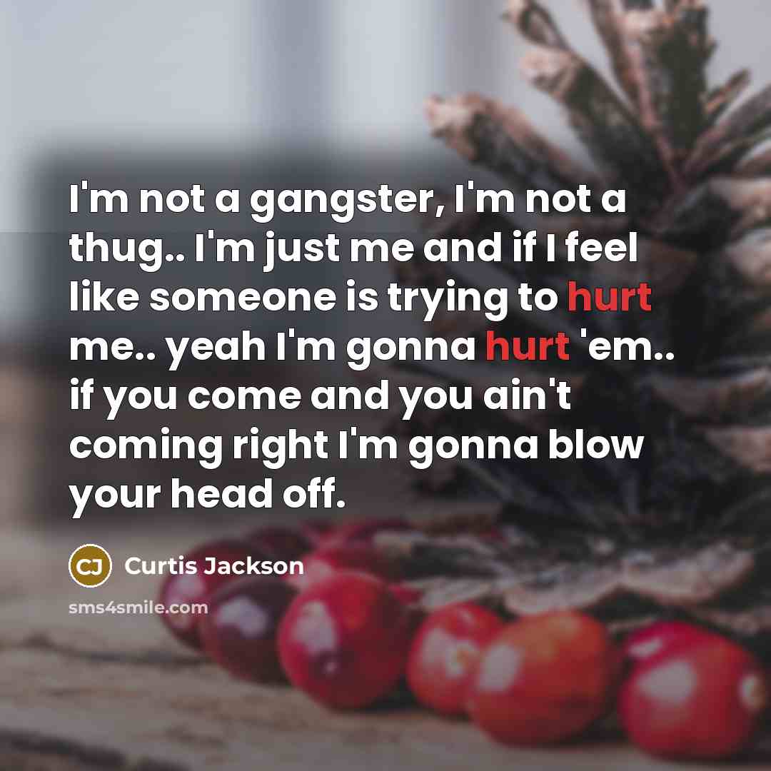 “I'm not a gangster, I'm not a thug.. I'm just…” quote by Curtis Jackson