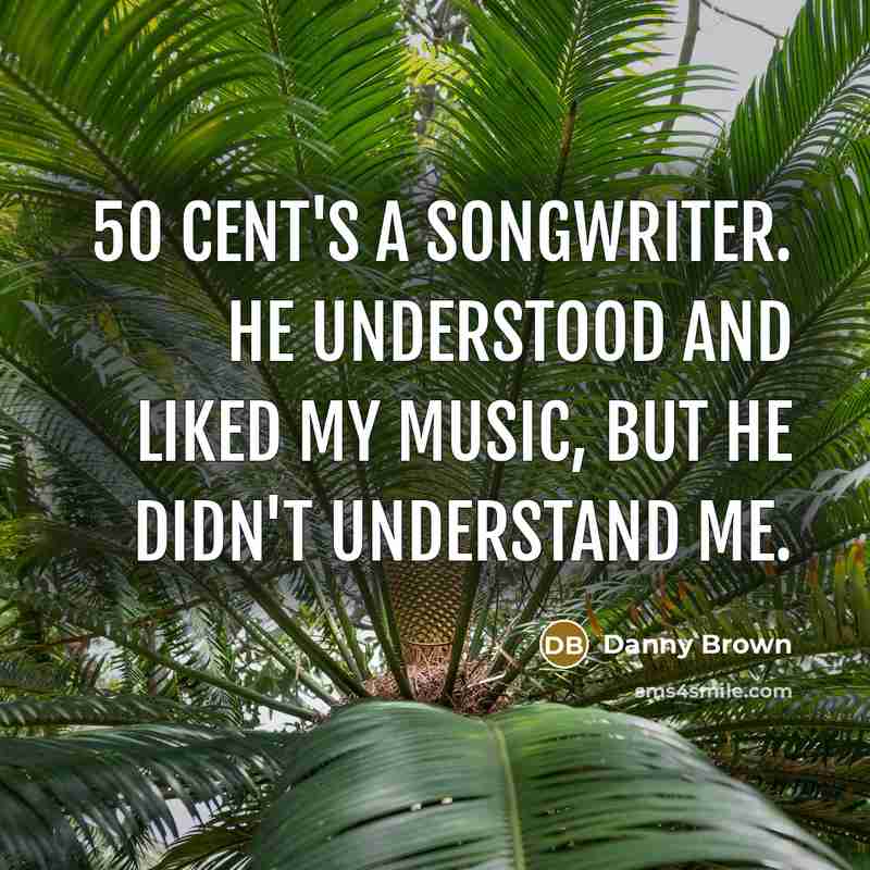 “50 Cent's a songwriter. He understood and liked my music,…” quote by Danny Brown