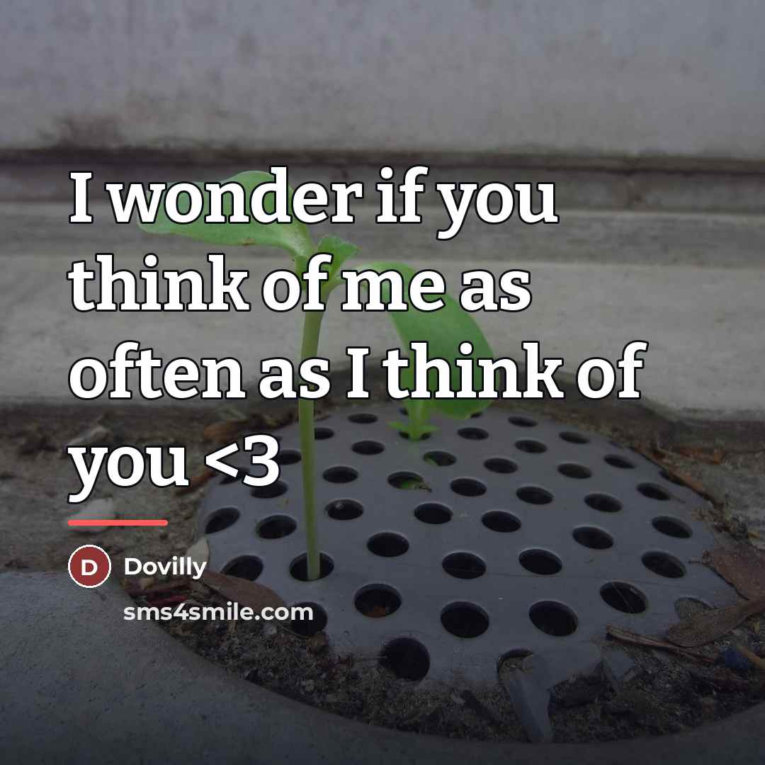 “I wonder if you think of me as often as…” quote by Dovilly
