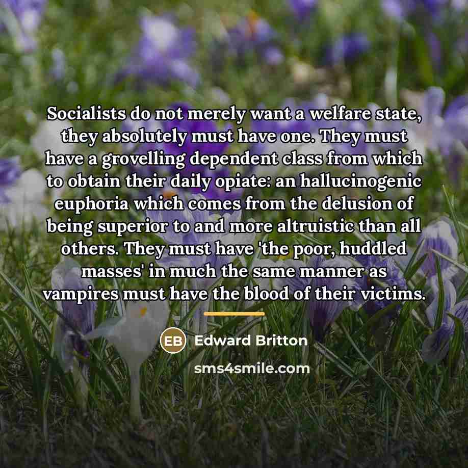 “Socialists do not merely want a welfare state, they absolutely…” quote by Edward Britton