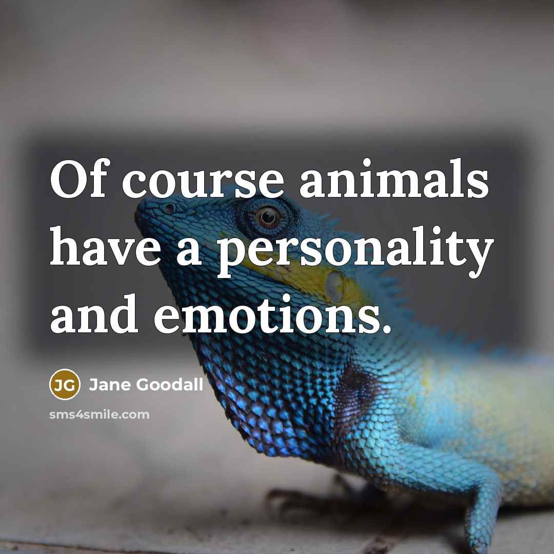 “Of course animals have a personality and emotions.…” quote by Jane Goodall