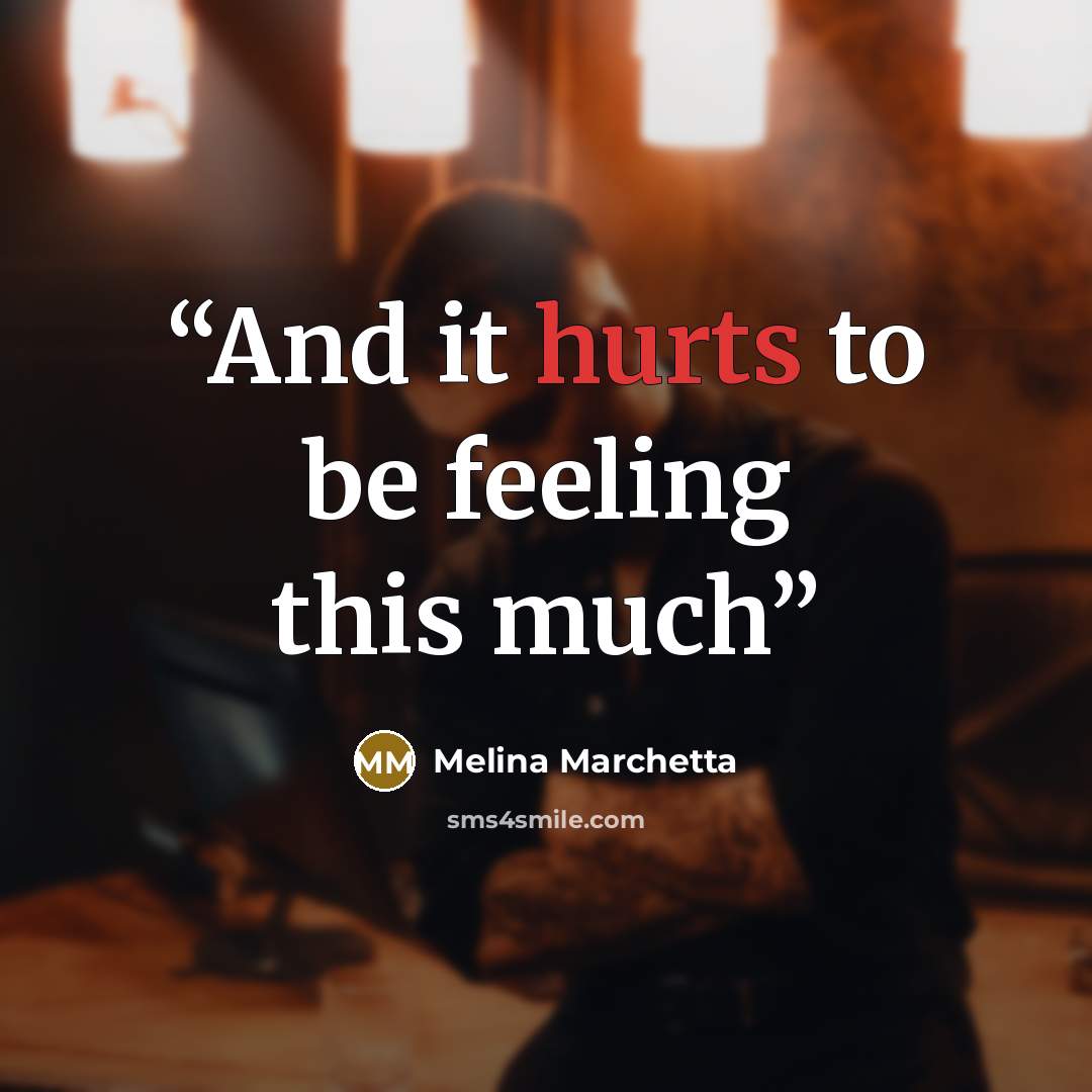 “And it hurts to be feeling this much” quote by Melina Marchetta