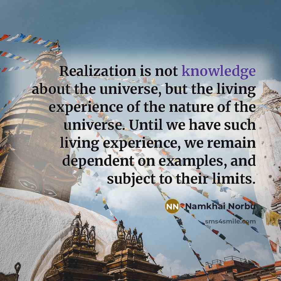 “Realization is not knowledge about the universe, but the living…” quote by Namkhai Norbu
