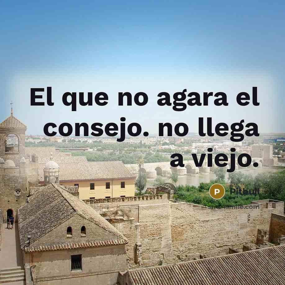 “El que no agara el consejo. no llega a viejo.…” quote by Pitbull