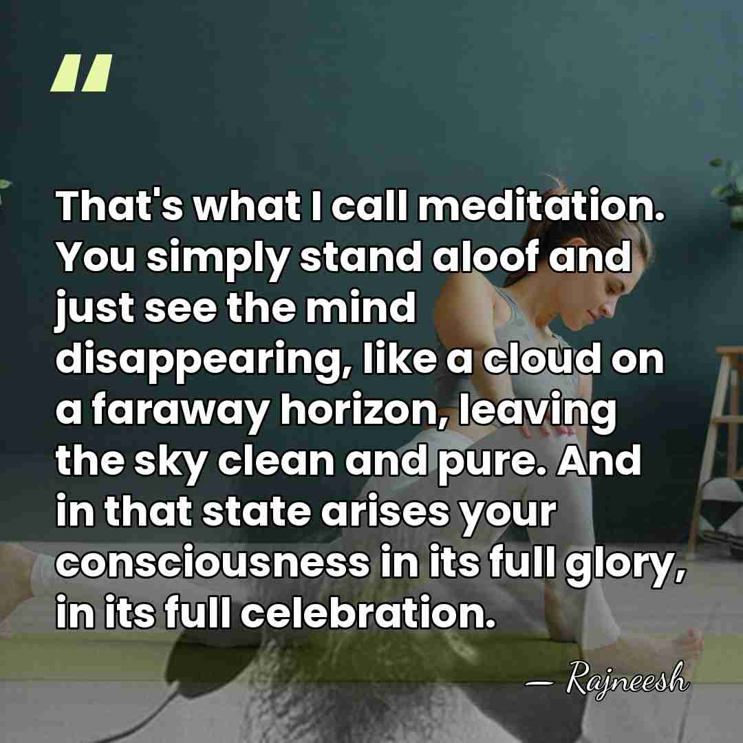 That's what I call meditation. You simply stand aloof and just see&hellip; - Rajneesh