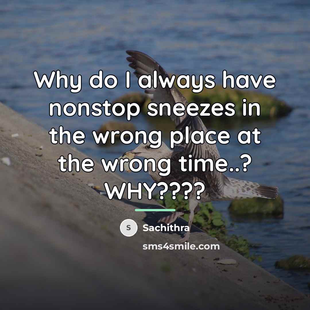 “Why do I always have nonstop sneezes in the wrong…” quote by Sachithra