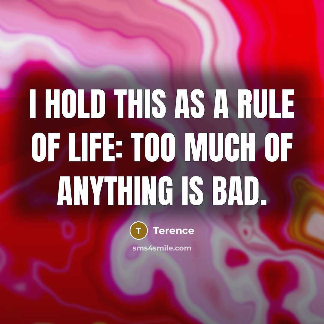 “I hold this as a rule of life: too much…” quote by Terence