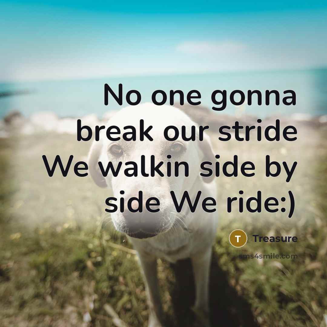 “No one gonna break our stride We walkin side by…” quote by Treasure