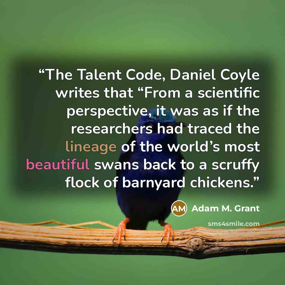 “The Talent Code, Daniel Coyle writes that “From a scientific perspective, it was as if the researchers had traced the lineage of the world’s most beautiful swans back to a scruffy flock of barnyard chickens.” quote by Adam M. Grant